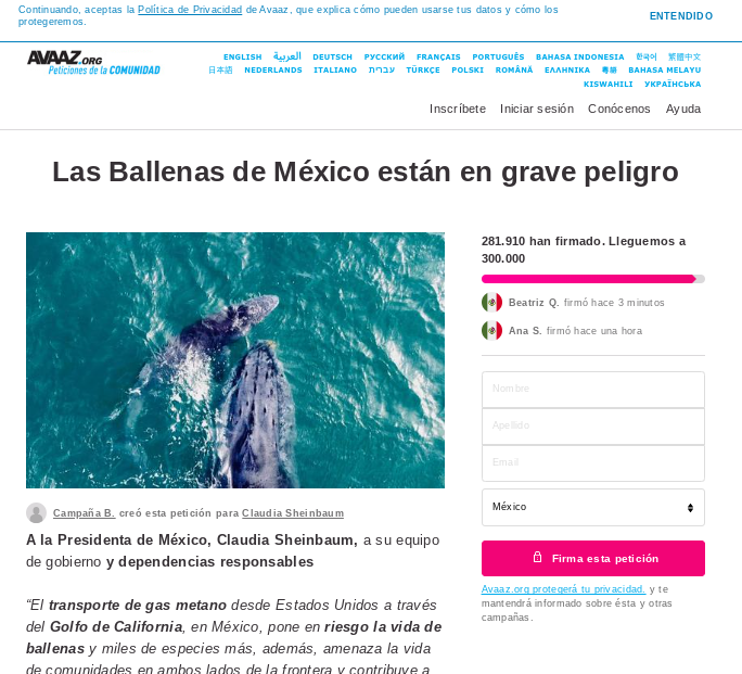 Petición en linea AVAAZ ballenas o gas campaña